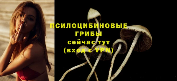 ECSTASY Корсаков