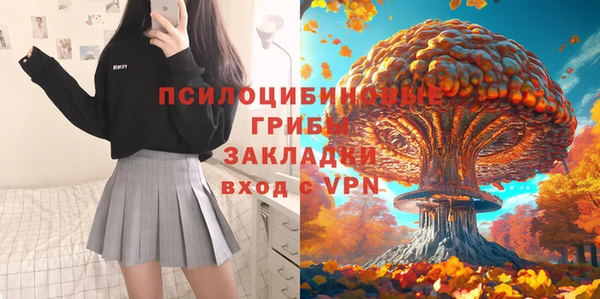 ECSTASY Корсаков