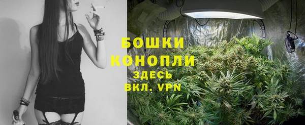 ECSTASY Корсаков